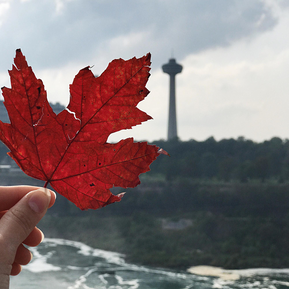 Hand holding red maple leaf with CN Tower in background, representing Canadian businesses exploring cannabis eCommerce options in Canada for online retail growth