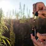 Unlocking the Green Elixir: Unexpected CBD Oil Benefits That Could Revolutionize Wellness