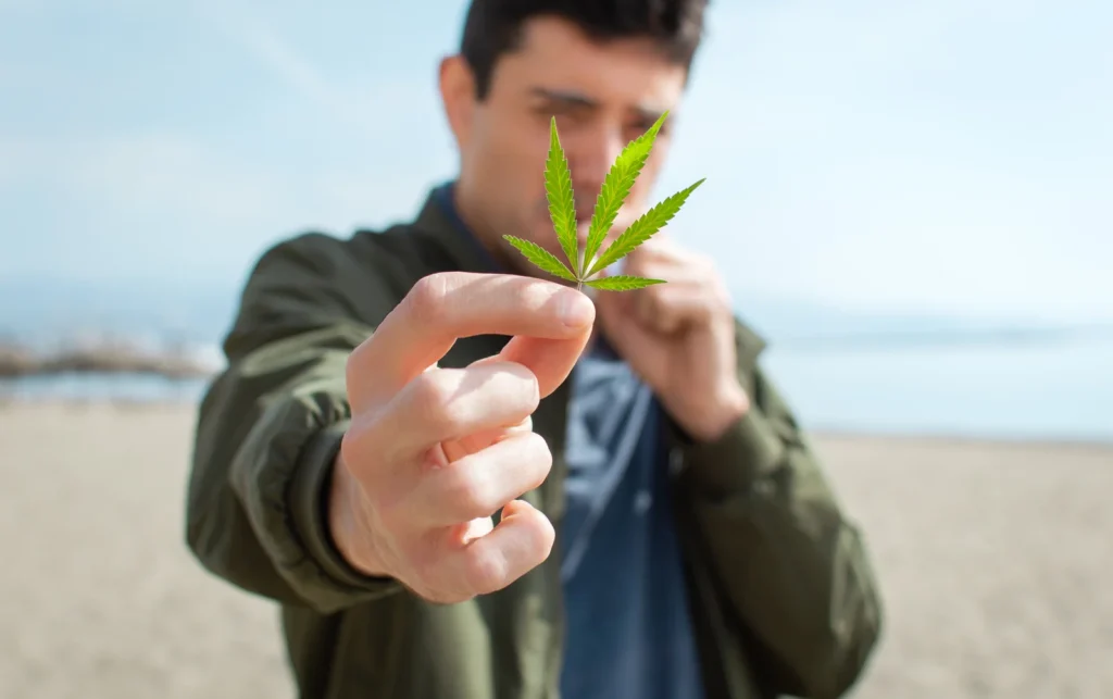 Man holding a cannabis leaf outdoors, symbolizing awareness and questions about how long does cannabis stay in your system.
