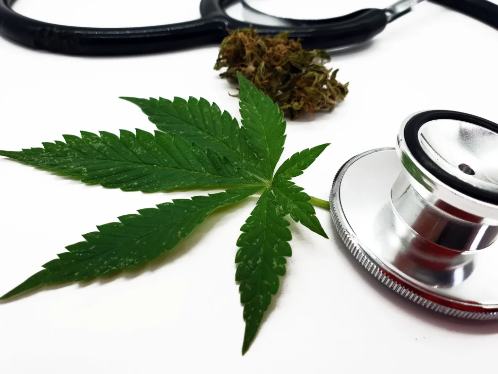 A cannabis leaf and marijuana buds beside a stethoscope on a white background, representing medical marijuana for insomnia and its role in sleep-related treatment.