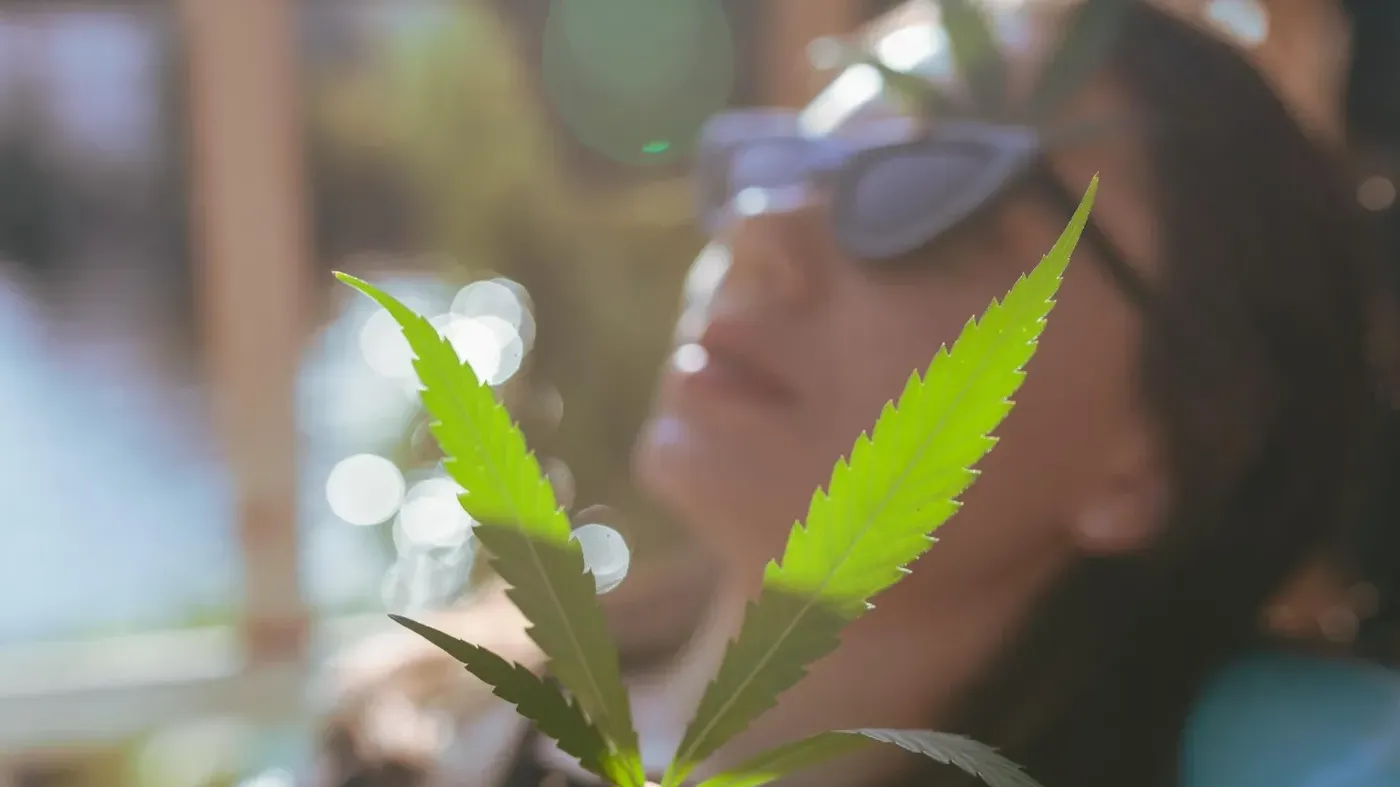 person with sunglasses and a cannabis plant