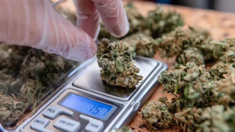 Exploring the Art and Evolution: Unconventional Cannabis Consumption Methods You’ve Never Tried