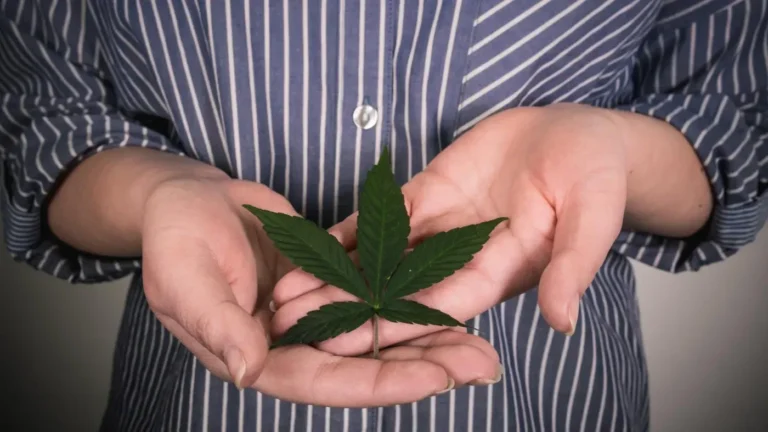 Easing the Twilight Years: How Cannabis Transforms Pain Management for the Elderly