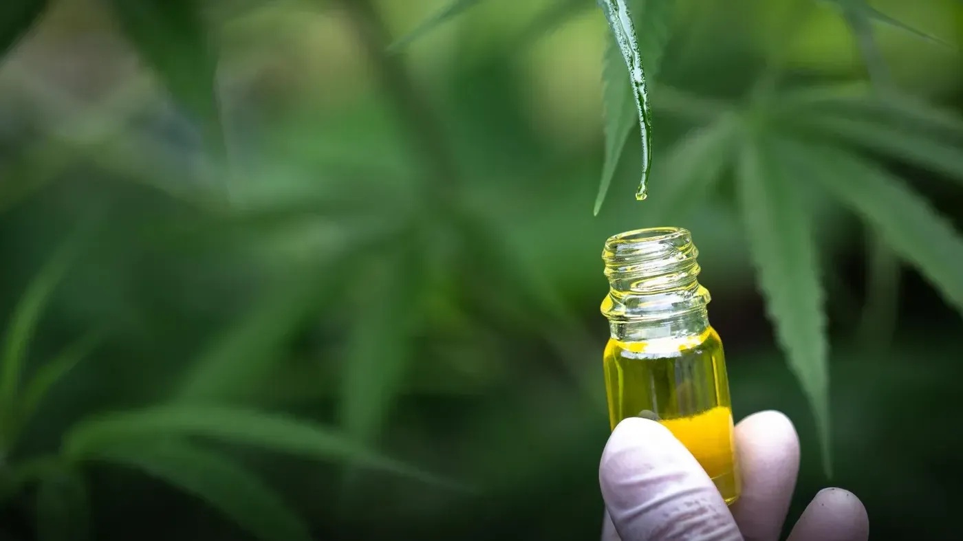 person holding cannabis oil