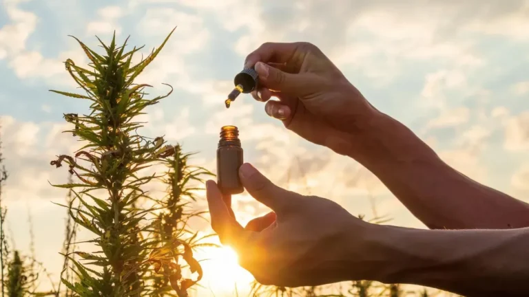 Unlocking the Green Treasure: Surprising Cannabis Sativa Seed Oil Benefits You Never Knew