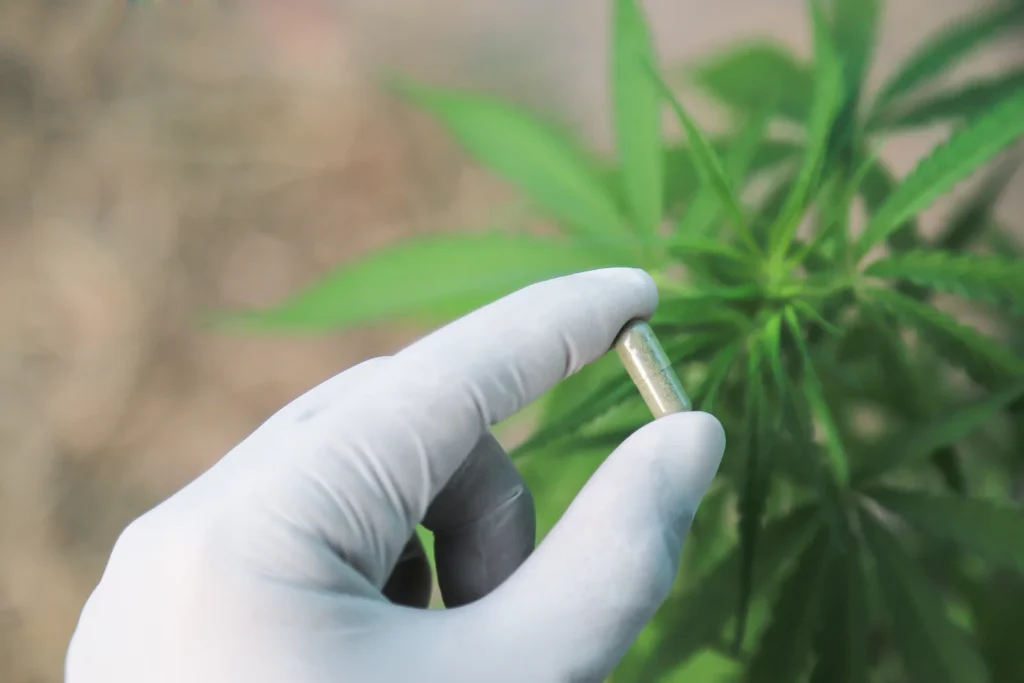 Gloved hand holding a medical cannabis capsule near a cannabis plant, representing research on ADHD and Medical Cannabis therapies.
