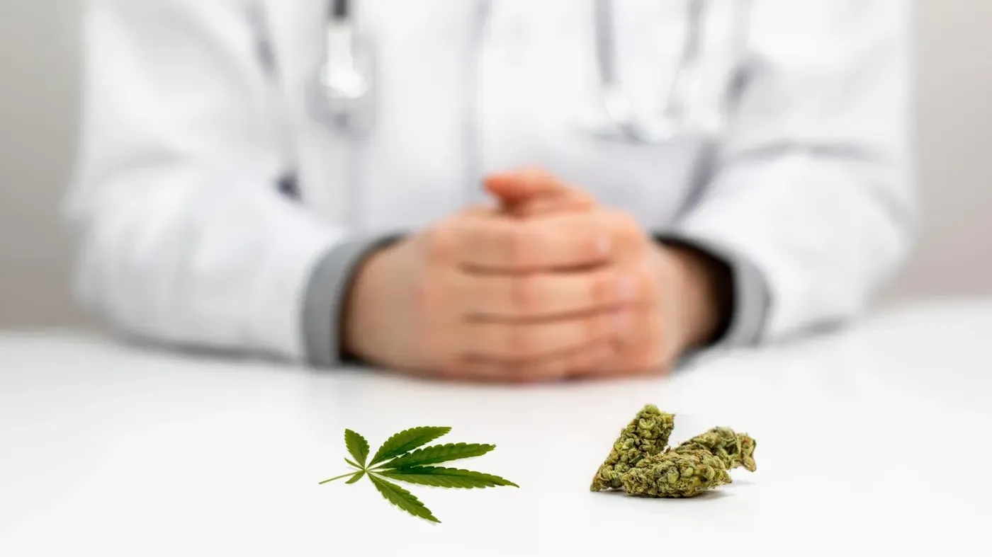 Doctor behind cannabis leaf and buds