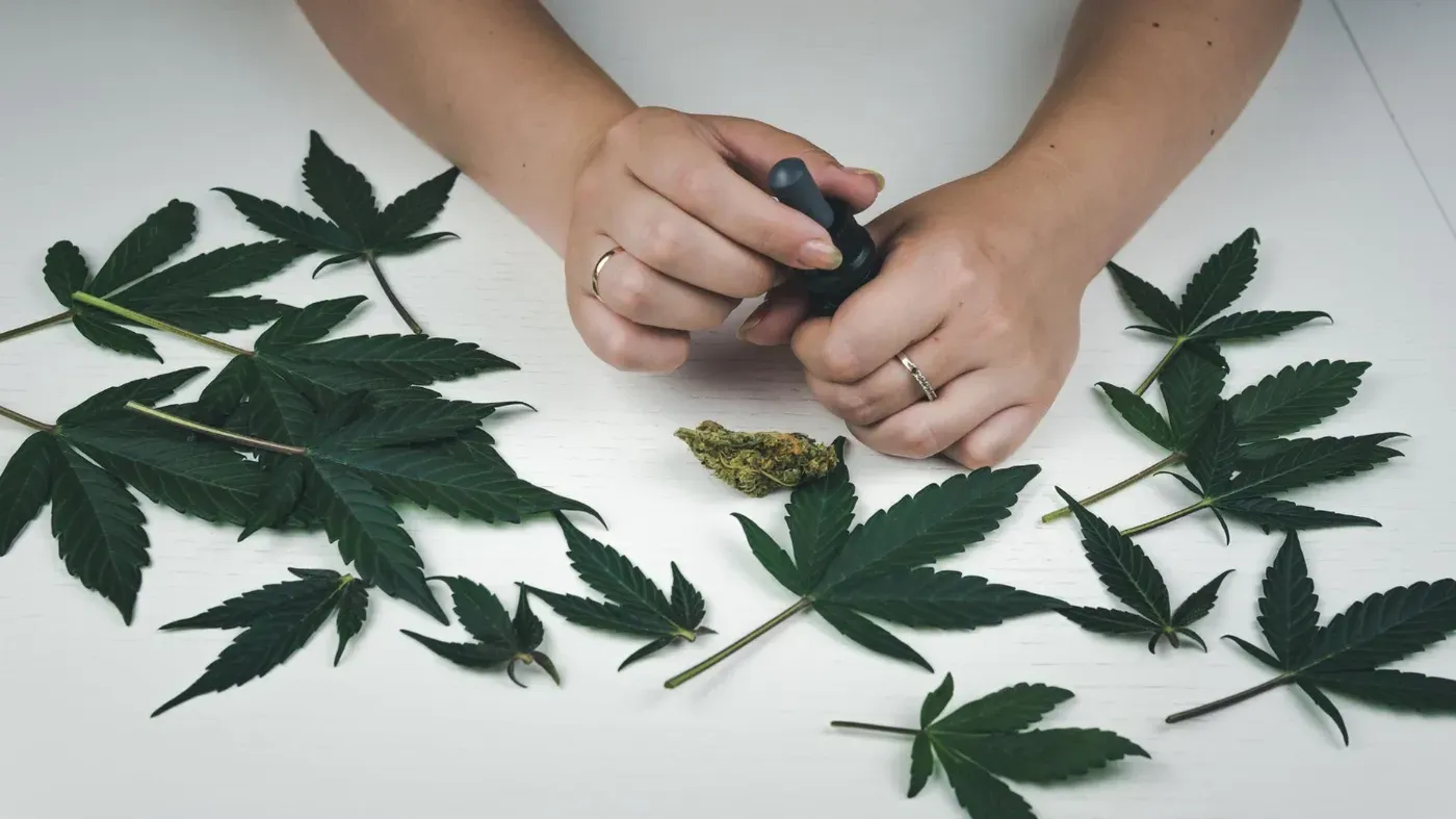 cannabis leaves on table showcasing best cannabis strains for adhd